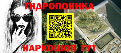 гашишное масло Ачхой-Мартан